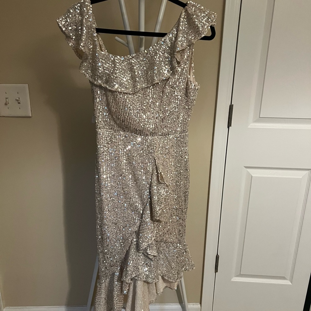 Silver Sequin Ruffle Dress - Picture 2 of 3